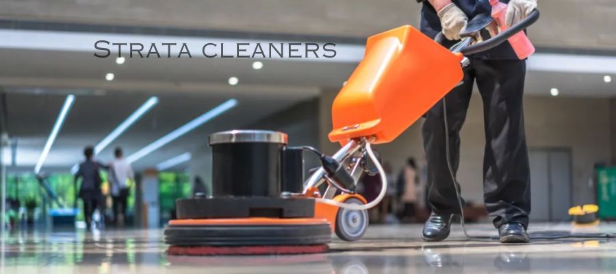 Strata Cleaners Thirroul