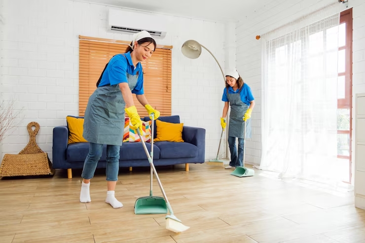 House Cleaner Port Kembla